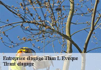 Entreprise élagage  thun-l-eveque-59141 Tirant élagage