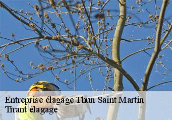 Entreprise élagage  thun-saint-martin-59141 Tirant élagage