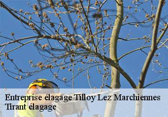 Entreprise élagage  tilloy-lez-marchiennes-59870 Tirant élagage