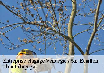 Entreprise élagage  vendegies-sur-ecaillon-59213 Tirant élagage