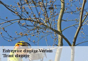 Entreprise élagage vertain-59730 Tirant élagage