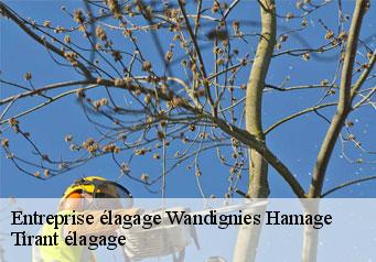 Entreprise élagage wandignies-hamage-59870 Tirant élagage