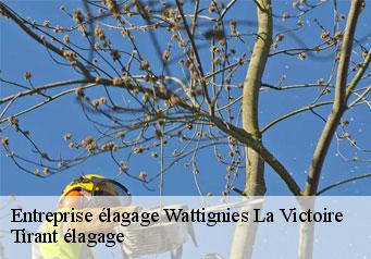 Entreprise élagage  wattignies-la-victoire-59680 Tirant élagage