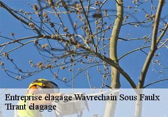Entreprise élagage wavrechain-sous-faulx-59111 Clement élagage