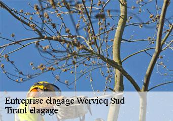 Entreprise élagage wervicq-sud-59117 Tirant élagage