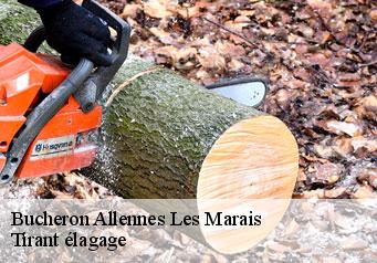 Bucheron  allennes-les-marais-59251 Tirant élagage