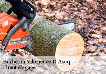 Bucheron villeneuve-d-ascq-59491 Tirant élagage