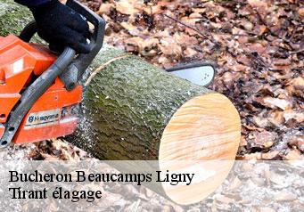 Bucheron  beaucamps-ligny-59134 Tirant élagage