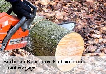 Bucheron  boussieres-en-cambresis-59217 Tirant élagage