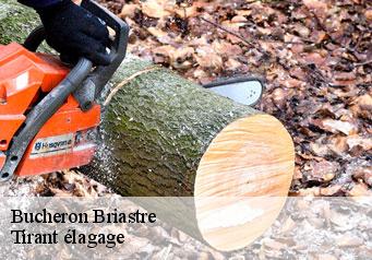 Bucheron briastre-59730 Tirant élagage