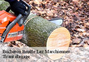 Bucheron  bruille-lez-marchiennes-59490 Tirant élagage