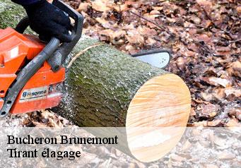 Bucheron  brunemont-59151 Tirant élagage