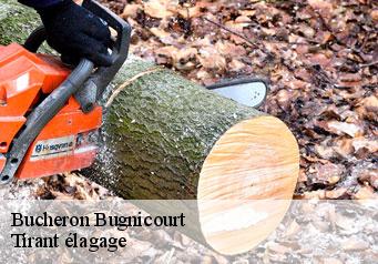 Bucheron  bugnicourt-59151 Tirant élagage
