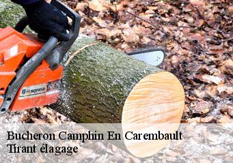 Bucheron  camphin-en-carembault-59133 Tirant élagage
