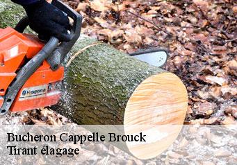 Bucheron cappelle-brouck-59630 Tirant élagage