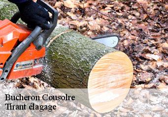 Bucheron cousolre-59149 Tirant élagage