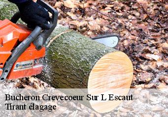 Bucheron crevecoeur-sur-l-escaut-59258 Tirant élagage