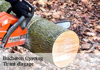 Bucheron cysoing-59830 Tirant élagage