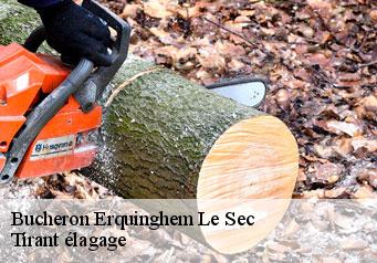 Bucheron  erquinghem-le-sec-59320 Tirant élagage
