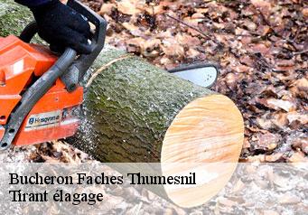 Bucheron faches-thumesnil-59155 Tirant élagage