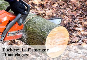 Bucheron  la-flamengrie-59570 Tirant élagage