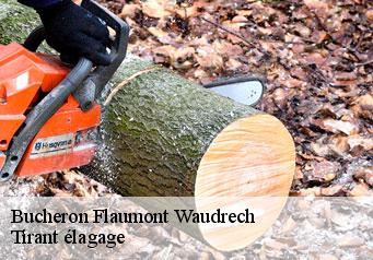 Bucheron  flaumont-waudrech-59440 Tirant élagage