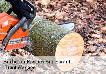 Bucheron fresnes-sur-escaut-59970 Tirant élagage