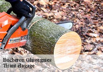 Bucheron ghissignies-59530 Tirant élagage