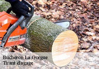 Bucheron la-gorgue-59253 Tirant élagage