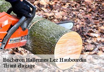 Bucheron  hallennes-lez-haubourdin-59320 Tirant élagage