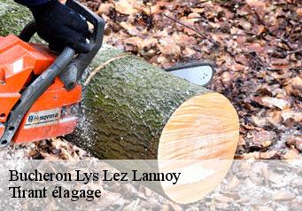 Bucheron lys-lez-lannoy-59390 Tirant élagage