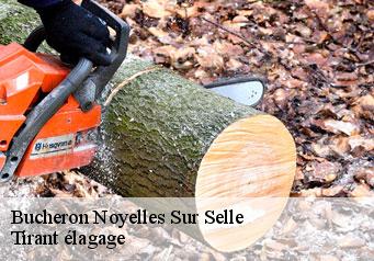 Bucheron  noyelles-sur-selle-59282 Tirant élagage