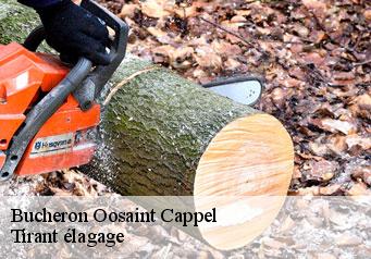 Bucheron oosaint-cappel-59122 Tirant élagage