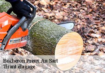 Bucheron preux-au-sart-59144 Tirant élagage