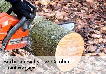 Bucheron sailly-lez-cambrai-59554 Tirant élagage