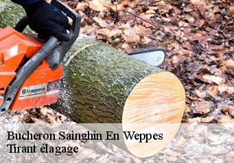 Bucheron  sainghin-en-weppes-59184 Tirant élagage