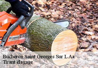 Bucheron  saint-georges-sur-l-aa-59820 Tirant élagage