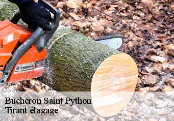 Bucheron  saint-python-59730 Tirant élagage