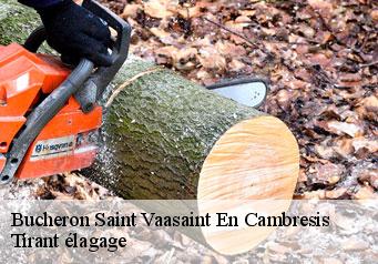 Bucheron  saint-vaasaint-en-cambresis-59188 Tirant élagage