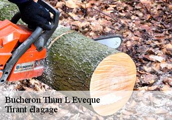 Bucheron thun-l-eveque-59141 Tirant élagage