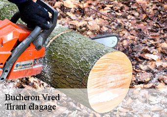 Bucheron vred-59870 Tirant élagage