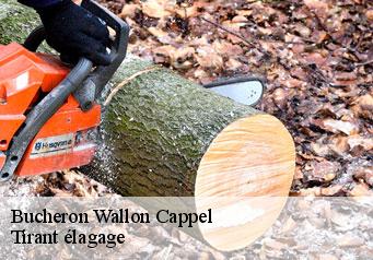 Bucheron  wallon-cappel-59190 Tirant élagage