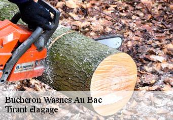 Bucheron  wasnes-au-bac-59252 Tirant élagage