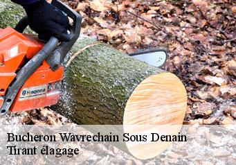Bucheron  wavrechain-sous-denain-59220 Tirant élagage