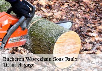 Bucheron  wavrechain-sous-faulx-59111 Tirant élagage