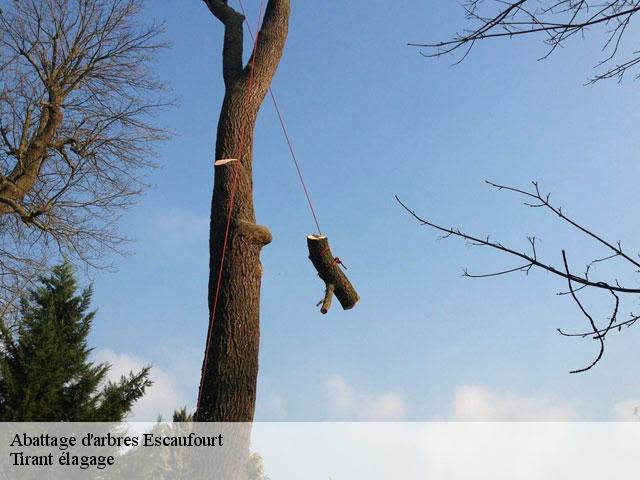 Abattage d'arbres  escaufourt-59360 Tirant élagage