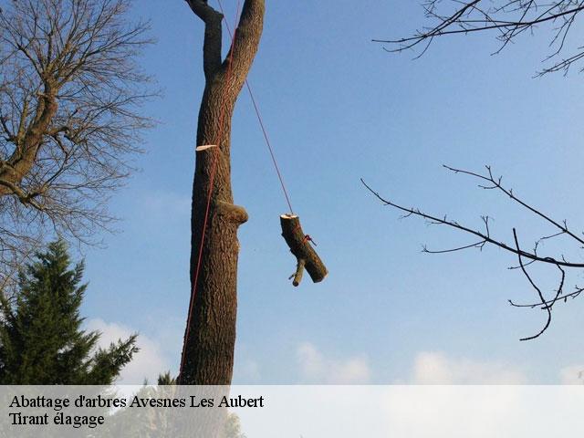 Abattage d'arbres  avesnes-les-aubert-59129 Tirant élagage