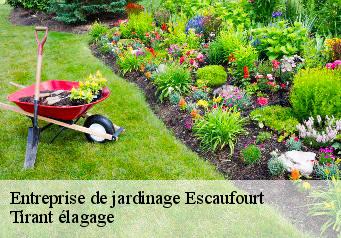 Entreprise de jardinage  escaufourt-59360 Tirant élagage