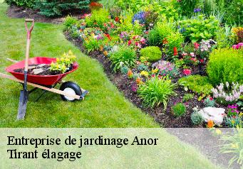 Entreprise de jardinage  anor-59186 Tirant élagage