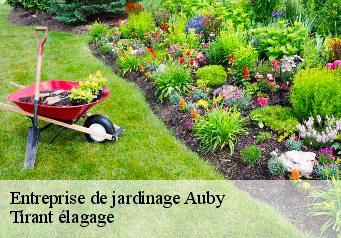 Entreprise de jardinage  auby-59950 Tirant élagage